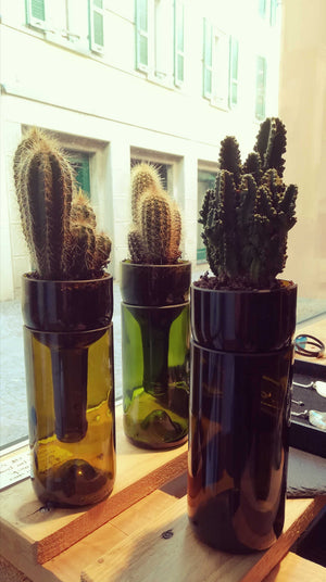 Vase"bouteille par plante"